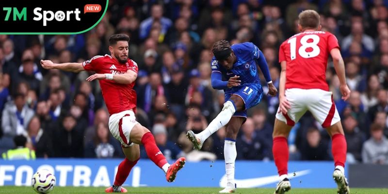 Bạn cần biết gì về lịch thi đấu tại web 7M